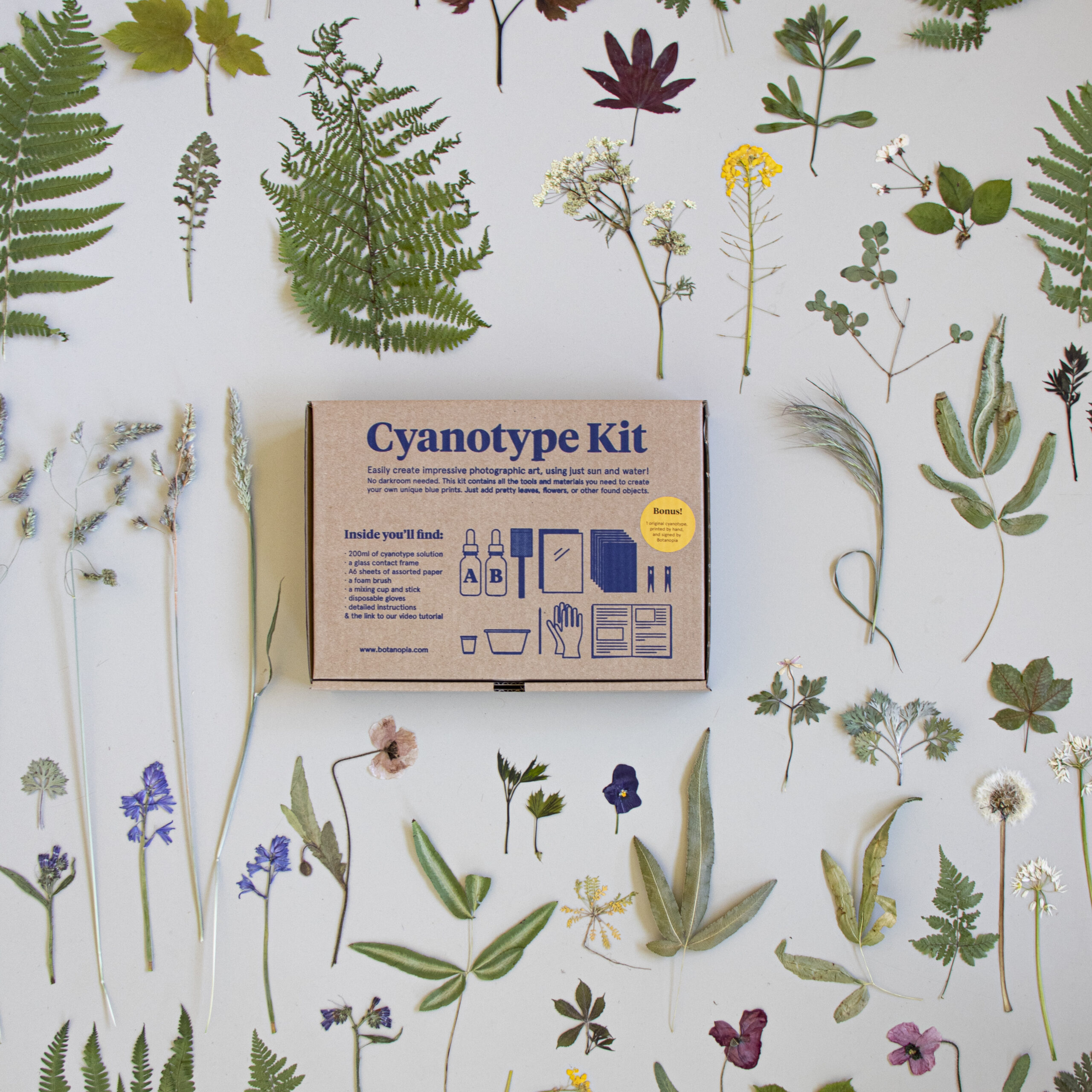 Cyanotype Kit – DIY kit to make your own blueprints - immagine 3